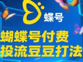 2025蝴蝶号付费投流豆豆打法，助新手快速掌握付费流量撬动自然流的核心玩法
