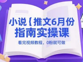 小说推文6月份指南实操课，看完视频教程，0粉就可做