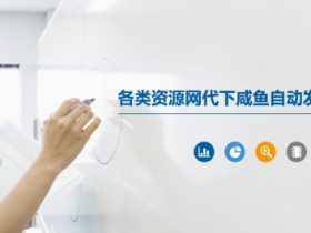 各类资源网代下咸鱼自动发货