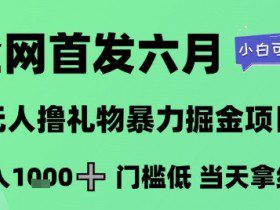 全网首发六月，无人撸礼物暴力掘金项目，日入1K+门槛低，当天拿结果，小白可玩【揭秘】