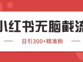 小红书截流同行客源，独家野路子获客玩法 日引200+暴力获客【揭秘】