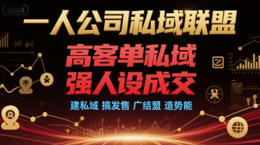 一人公司私域联盟,高客单私域,强人设成交,建私域 搞发售 广结盟 造势能