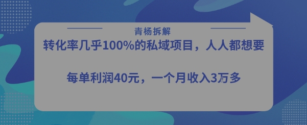 转化率最高的私域项目,每单利润40-50米,月入过1w