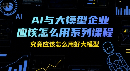 瑞克老张AI与大模型企业应该怎么用系列课程,究竟应该怎么用好大模型