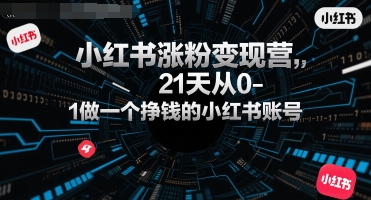 柒七小红书涨粉变现营,21天从0-1做一个挣钱的小红书账号