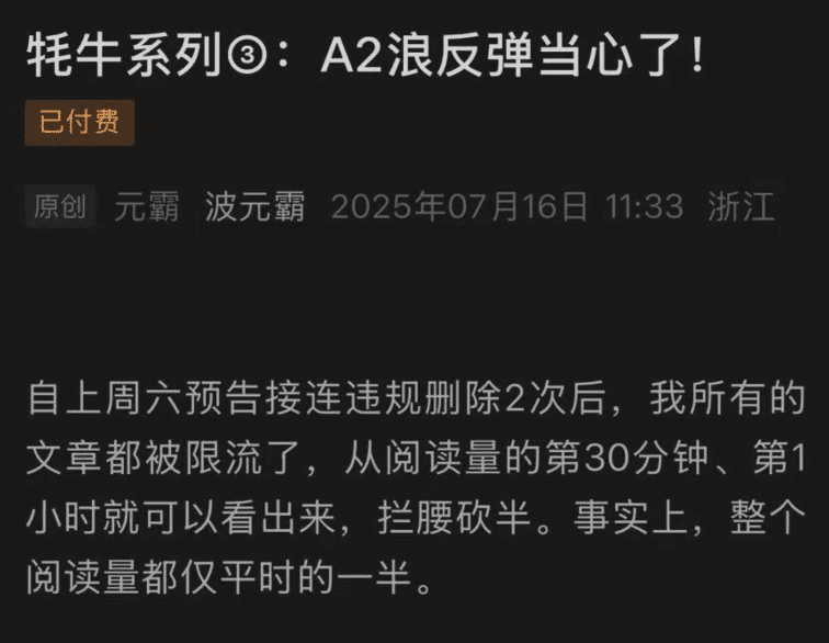 波元霸250716付费文 牦牛系列3：A2浪反弹当心了