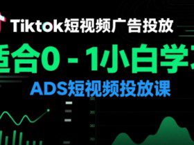 Tiktok短视频广告投放，适合0-1小白学习ADS短视频投放课