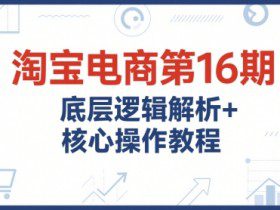 淘宝电商第16期，底层逻辑解析+核心操作教程，运营、推广提升能力的必学课程+配套资料