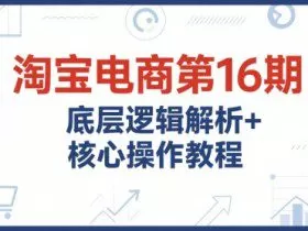 淘宝电商第16期，底层逻辑解析+核心操作教程，运营、推广提升能力的必学课程+配套资料