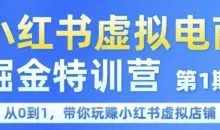 锋声小红书虚拟电商掘金特训营第1期，从0到1，带你玩转小红书虚拟店铺