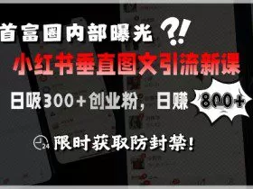 首富圈内部曝光小红书垂直图文引流新课，日吸300+创业粉，日入8张+，限时获取防封禁