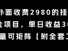 外面收费2980的挂G撸美金项目，单日收益30+美金，可批量可矩阵【揭秘】