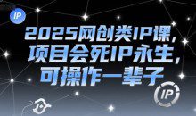 2025网创类IP课，项目会死IP永生可操作一辈子