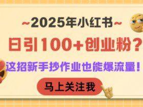 2025年小红书日引100+创业粉？这招新手抄作业也能爆流量！