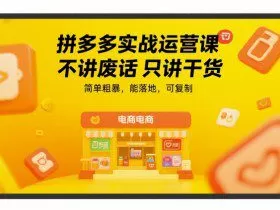 拼多多实战运营课，不讲废话只讲干货，简单粗暴，能落地，可复制