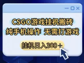 CSGO游戏挂G搬砖，小白纯手机即可操作，不用电脑打游戏，日入3张+，副业网创项目【揭秘】