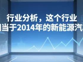 付费文章：行业分析，这个行业，相当于2014年的新能源汽车