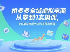 拼多多全域虚拟电商从零到1实操课，小白虚拟电商从0到1实操到精通