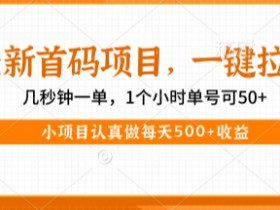 最新首码项目，操作最简单，收益高，一键拉新，1个小时单号可50+，小项目认真做每天5张+收益【揭秘】