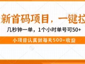 最新首码项目，操作最简单，收益高，一键拉新，1个小时单号可50+，小项目认真做每天5张+收益【揭秘】