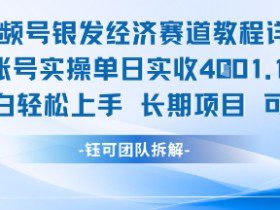 视频号银发经济赛道单账号实操单日实收1k+，小白轻松上手长期项目