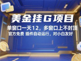 美金挂G项目，单窗口一天12，多窗口上不封顶，官方免费插件自动运行，对小白友好【揭秘】