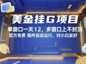 美金挂G项目，单窗口一天12，多窗口上不封顶，官方免费插件自动运行，对小白友好【揭秘】