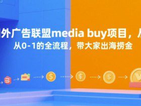 国外广告联盟media buy项目，从0-1的全流程，带大家出海捞金