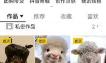 抖音65W博主AI萌宠课程，新赛道流量大，原创+二创全套课程+提示词