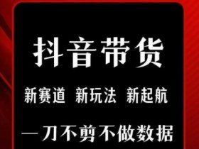 抖音短视频一刀不剪带货，不剪辑，不直播，每天发个视频，等着出单获取带货佣金