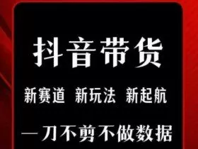 抖音短视频一刀不剪带货，不剪辑，不直播，每天发个视频，等着出单获取带货佣金