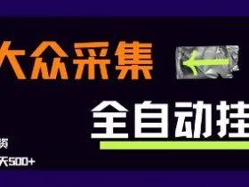 大众采集全自动玩法，新手小白轻松一天5张+，操作简单零成本【揭秘】