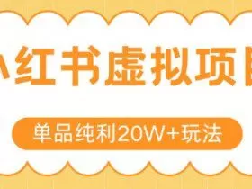 小红书卖虚拟产品，单品纯利20W+玩法分享，4节系列课程