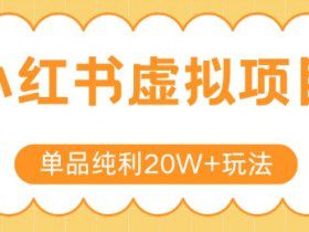 小红书卖虚拟产品，单品纯利20W+玩法分享，4节系列课程