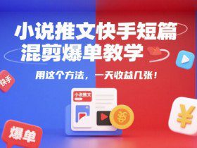 小说推文快手短篇混剪爆单教学，用这个方法，一天收益几张