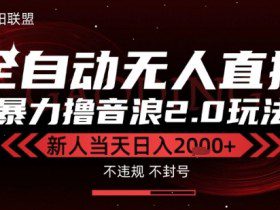 太阳联盟-最新独家2.0技术抖音无人直播撸音浪，黑科技全自动运行，低门槛，新手当天日入2k+【揭秘】