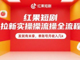 红果短剧拉新实操全流程，发就有米拿，单账号月收入几k