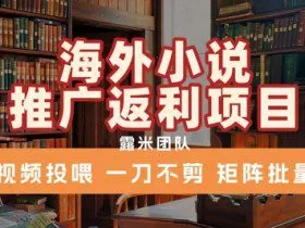 海外小说推广返利项目，视频投喂， 一刀不剪，矩阵批量