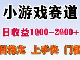 暑期暴力一天收益1-2k+ 稳定项目，小游戏赛道，项目稳定，上手快，门槛低【揭秘】