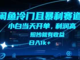 闲鱼冷门且暴利赛道，小白当天开单，利润高，照抄就有收益，日入1k+【揭秘】