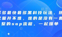 波仔电商-拼多多最快最多黑科技玩法，拼多多起量并不难，难的是没有一套完整的sop流程，一起爆单（更新6月）