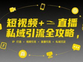 短视频+直播私域引流全攻略，IP打造 +视频引流 +直播引流 +私域沉淀