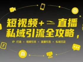 短视频+直播私域引流全攻略，IP打造 +视频引流 +直播引流 +私域沉淀