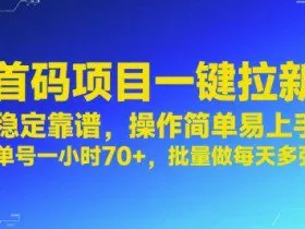 首码项目一键拉新，稳定靠谱，操作简单易上手，单号一小时70+，批量做每天多张【揭秘】