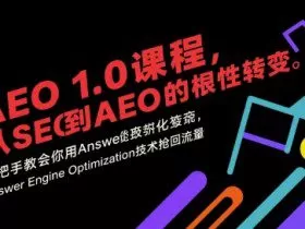 AEO 1.0 课程，从SEO到AE0的基命性转变，手把手教会你用AnswerEngineOptimization技术抢回流量