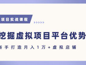 抓住虚拟项目各平台优势，新手轻松月入1W+(给出具体建议)