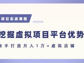 抓住虚拟项目各平台优势，新手轻松月入1W+(给出具体建议)