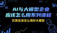 瑞克老张AI与大模型企业应该怎么用系列课程，究竟应该怎么用好大模型