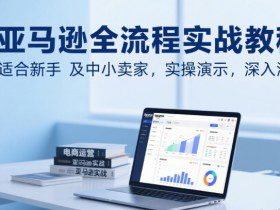 亚马逊全流程实战教程，适合新手及中小卖家，实操演示，深入浅出