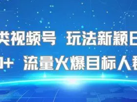 名著类视频号 玩法新颖日收益500+ 流量火爆目标人群广